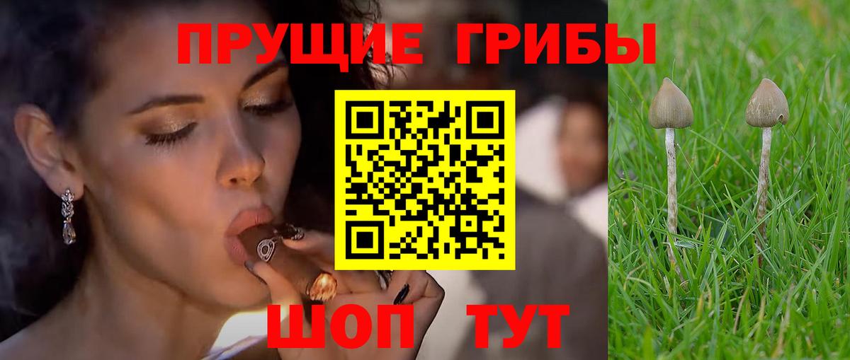 Галлюциногенные грибы мицелий Таганрог