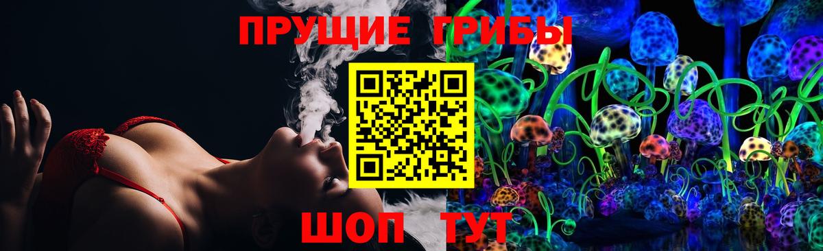 Таганрог  Галлюциногенные грибы Psilocybine cubensis  Галлюциногенные грибы прущие грибы  Вход с VPN 